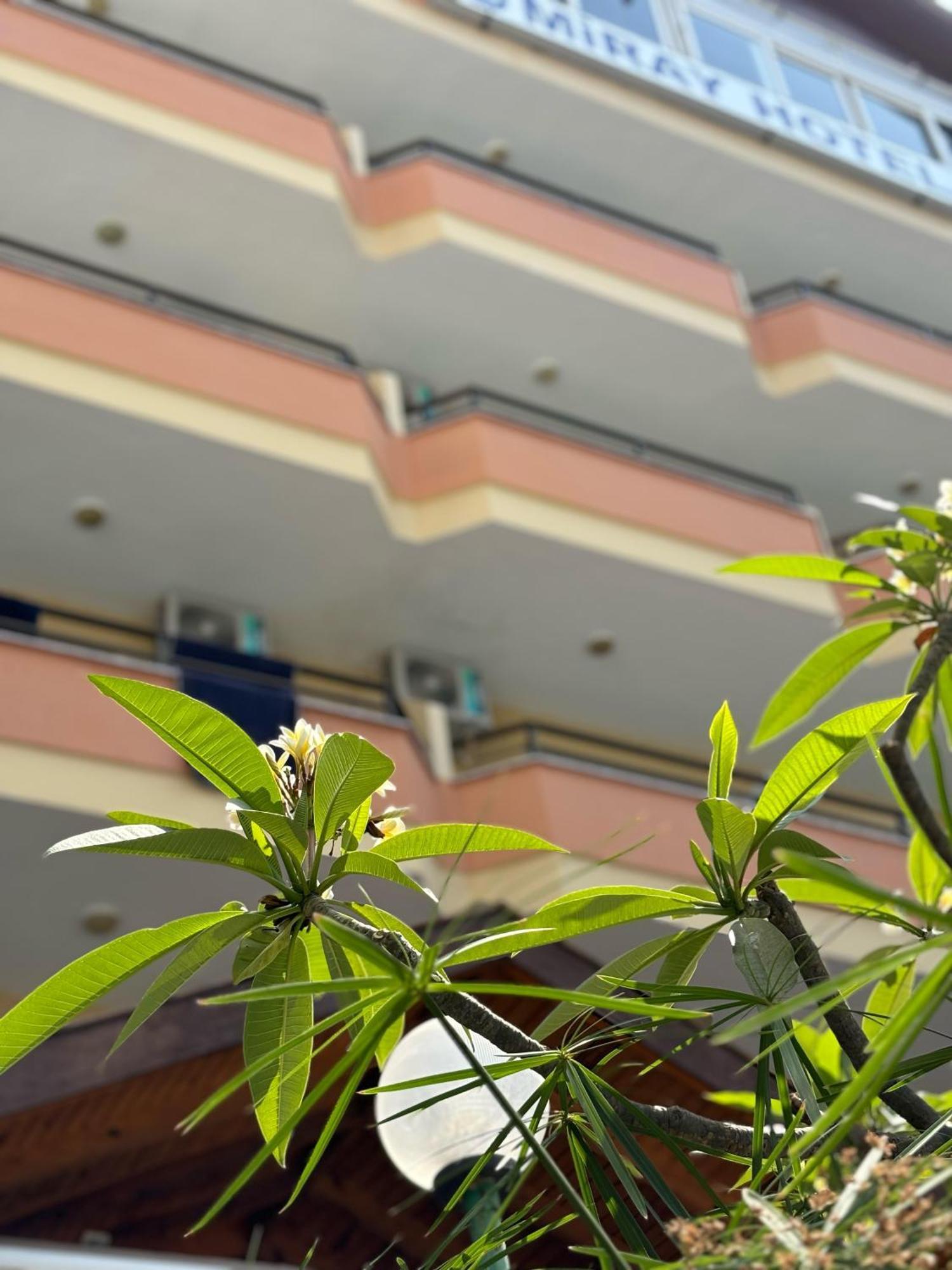 Miray Kleopatra Hotell